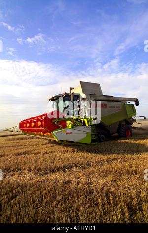 La récolte de blé de l'rendmt Lexion Claas 580 terra trac combine harvester Banque D'Images