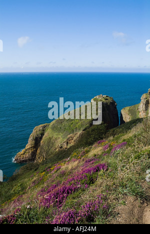 Agois dh Ile JERSEY ST MARY DE L'Âge du Fer Préhistoire site archéologique de la côte nord de la mer d'îlots de pile Banque D'Images