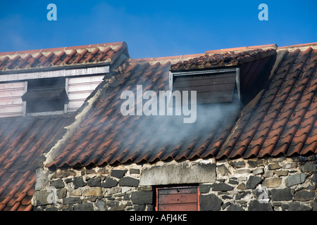 Verse de fumée en toiture smokehouse Craster où L.Robsons & fils faire la célèbre Craster des harengs. Le Northumberland England Banque D'Images