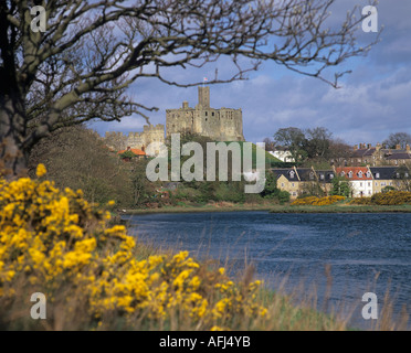 Château de Warkworth Northumberland en vue au printemps au-dessus d'ajoncs et de fleurs le long de la rivière Coquet Banque D'Images