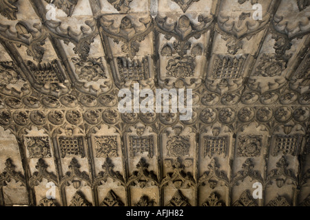 Sculptures sur le plafond d'un passage couvert à la 16e siècle, église paroissiale de St Mary the Virgin Angleterre Essex Dedham Banque D'Images