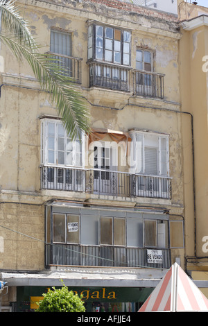 Balcon fleuri windows sur house, Cadix, Andalousie, espagne. Banque D'Images