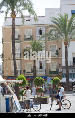 Les palmiers et les maisons d'un square Cadix Andalousie Espagne Banque D'Images