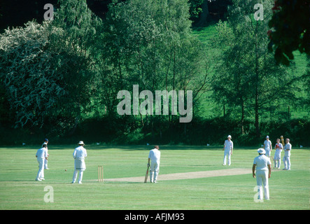 Abinger Hammer surrey England Cricket sur Village Green Banque D'Images