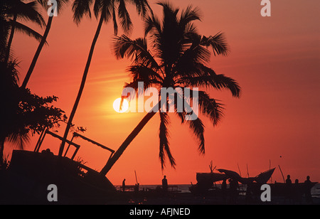 Silhouetté boutres et palmiers au coucher du soleil Nungwi pointe nord de l'Afrique de l'Est Tanzanie Zanzibar Banque D'Images