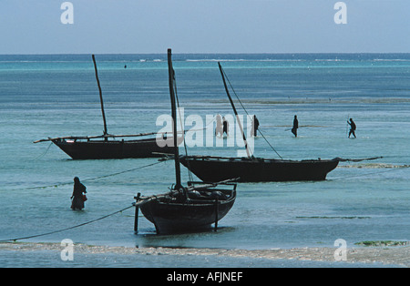 Les boutres qui se profile et les algues et les collectionneurs des coquillages à marée basse pointe nord de Nungwi Zanzibar Tanzanie Afrique de l'Est Banque D'Images