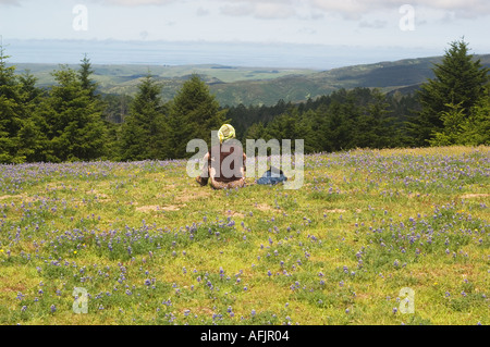 Femme dans un t-shirt et en sueur foulard jaune vu de l'arrière assis dans un champ de fleurs sauvages à l'océan à Banque D'Images