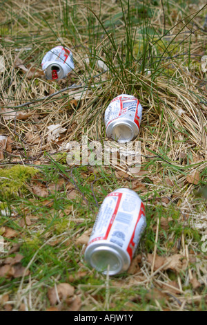 Des canettes de bière vides jetées sur l'herbe Banque D'Images