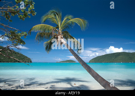 ÎLES Vierges AMÉRICAINES, St.John,Parc national des Îles Vierges,territoire fédéral,nature,paysage,naturel,campagne,préservation historique,public,loisirs,Maho b Banque D'Images