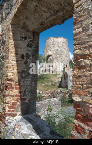 ÎLES Vierges AMÉRICAINES, St.John,Parc national des Îles Vierges,terrain fédéral,nature,paysage,naturel,campagne,conservation historique,public,loisirs,Annabe Banque D'Images