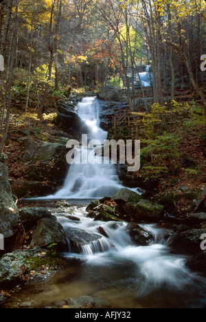 Virginia George Washington National Forest Nelson County Crabtree Falls près de la rivière Tiree eau automne couleurs VA095, les visiteurs voyage visite touris Banque D'Images