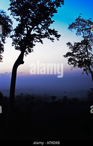 Au cours de l'aube de l'Afrique Tropical Rainforest avec mist clearing, Ghana, Afrique de l'Ouest Banque D'Images