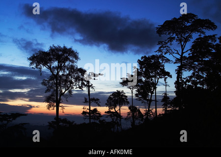 Au cours de la forêt tropicale de l'Afrique de l'aube avec mist clearing, Ghana, Afrique de l'Ouest Banque D'Images