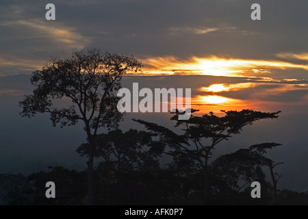 Le coucher du soleil ou le lever du soleil sur la forêt tropicale africaine, le Ghana, l'Afrique de l'Ouest Banque D'Images