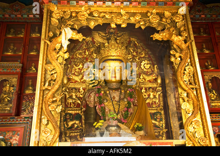 Au Temple de Swayambhunath Stupa Swayambhunat Katmandou Népal Asie SWAYAMBUNATH Katmandou Banque D'Images