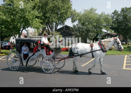 Indiana Elkhart County,Middlebury,Das Dutchman Essenhaus,Amish buggy ride,cheval,IN070828048 Banque D'Images