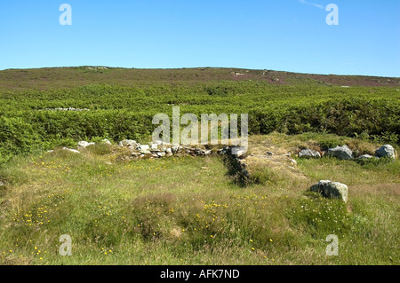 Ty Mawr Hut des cercles, à l'âge de fer, au sud du site Pile, Anglesey, au nord ouest du pays de Galles Banque D'Images