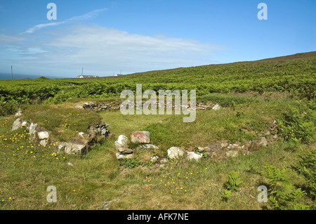 Ty Mawr Hut des cercles, à l'âge de fer, au sud du site Pile, Anglesey, au nord ouest du pays de Galles Banque D'Images