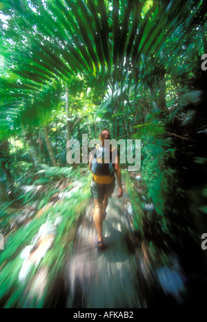 Femme marche sur sentier dans El Yunque Rain Forest à Puerto Rico Caraïbes Blurred motion image modèle Photo Parution Banque D'Images