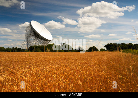 Le télescope Lovell de Jodrell Bank à avec les champs mûrs Cheshire UK Banque D'Images