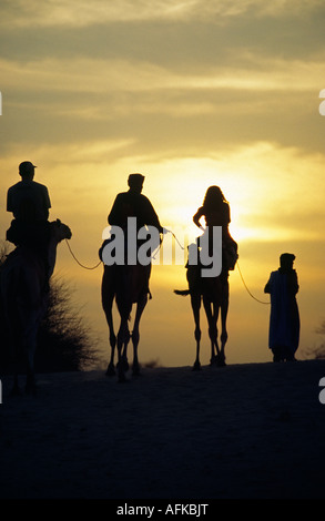 Les randonneurs dans la saharienne Camel sands près de Tombouctou Banque D'Images