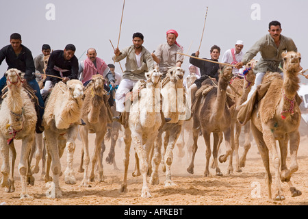 Une course de chameaux est en cours à la palmyre 5km de long circuit. Les courses ont lieu chaque année dans le cadre de la Palmyre Festival, la Syrie Banque D'Images