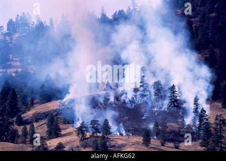 Un incendie de forêt sur les collines de la vallée de l'Okanagan en Colombie-Britannique Canada Banque D'Images