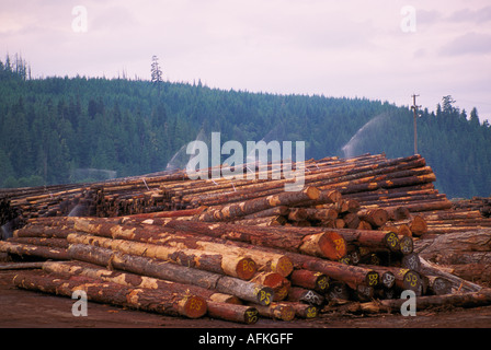 Une cour de triage à Beaver Cove près de Telegraph Cove sur l'île de Vancouver, British Columbia Canada Banque D'Images
