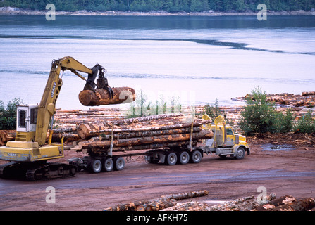 Un journal Picker déchargement de billes de bois Chariot à trier près de Telegraph Cove, BC, Vancouver Island, British Columbia Canada Banque D'Images