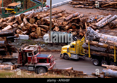 Le déchargement des bois pour la transformation en copeaux de bois à Beaver Cove sur l'île de Vancouver, British Columbia Canada Banque D'Images