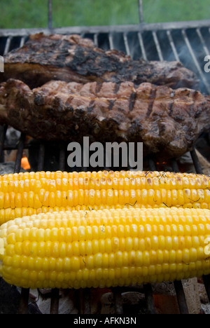 Le maïs en cobb et le bifteck sur le barbecue grill Banque D'Images