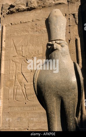 Statue de l'ancien dieu égyptien Horus en avant du premier pylône au Temple d'Edfou, Edfou, Egypte. Banque D'Images