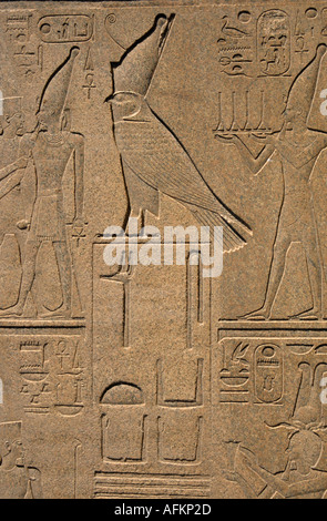 Relief représentant Horus avec une couronne sur la Reine Hatsheput obélisque à Temple de Karnak, Louxor, Egypte. Banque D'Images