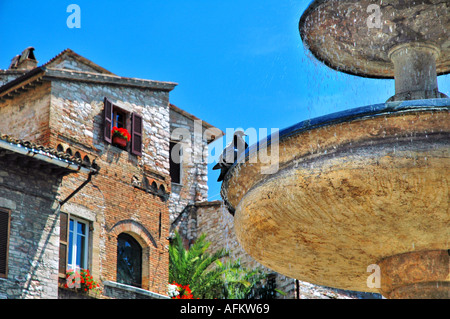 La Piazza del Comune à Assise en Italie durant l'été un oiseau se baignant dans une fontaine sur une belle journée d'été. Banque D'Images