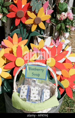 Marshall Indiana County,Plymouth,Marshall County Blueberry Festival,foire aux festivals,savon,parures de pelouse,IN070901039 Banque D'Images