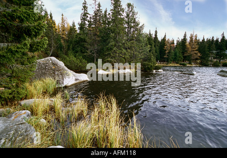 Vysoke Tatry, lac Strbske Pleso, automne, Slovaquie Banque D'Images