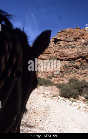 Équitation le long de Havasu canyon part du Parc National du Grand Canyon vers le village de Supai Havasupai Banque D'Images