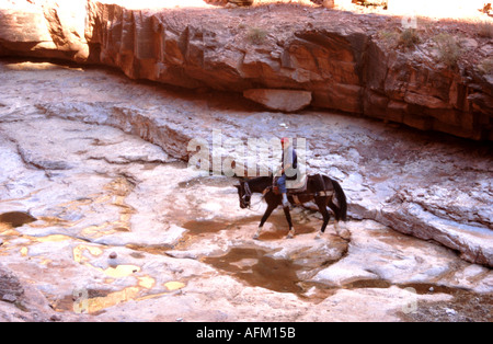 Équitation le long de Havasu canyon part du Parc National du Grand Canyon vers le village Havasupai Banque D'Images