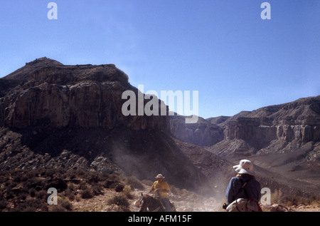 Équitation le long de Havasu canyon part du Parc National du Grand Canyon vers le village Havasupai Banque D'Images