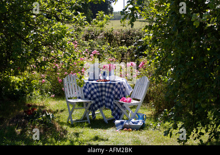 Chaises blanches à côté de tissu bleu et blanc vérifié sur le tableau sur la pelouse dans la compensation en été country garden Banque D'Images