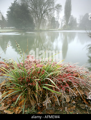 Go - GLOUCESTERSHIRE : Automne à Cheltenham Pittville Park Banque D'Images