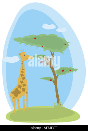 Offrant un singe à Apple une girafe Banque D'Images