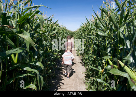 Les enfants d'essayer de trouver le moyen de sortir d'un champ de maïs ou de maïs Banque D'Images