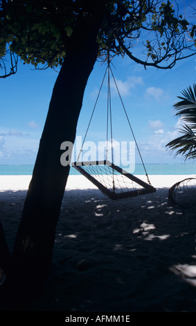 Hamac balançant d'tree Madivaru Island Les Maldives Banque D'Images