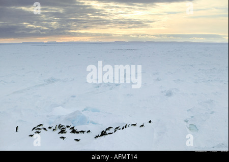 Manchots empereurs sur leur chemin de retour à la colonie de l'Île Coulman Antarctique Banque D'Images