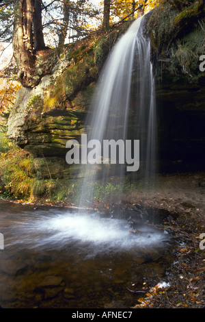 Scott tombe dans la Péninsule Supérieure du Michigan, près de Munising au Michigan Banque D'Images