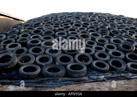 Voiture en caoutchouc usé des pneus d'automobile, des pneus en un tas utilisé pour maintenir en place des feuilles de plastique sur l'ensilage Banque D'Images
