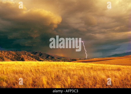 USA Eastern Idaho mountain storm and lightning over a field of a golden wheat Banque D'Images