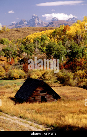 USA Idaho rustic log barn entouré de couleurs de l'automne et le Teton mountain range au-delà Banque D'Images