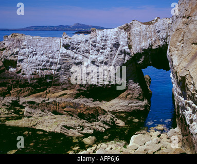 Arche de roche naturelle, Bwa Gwyn, ou arche blanche, Rhoscolyn, Anglesey, au nord du Pays de Galles, Royaume-Uni. Banque D'Images